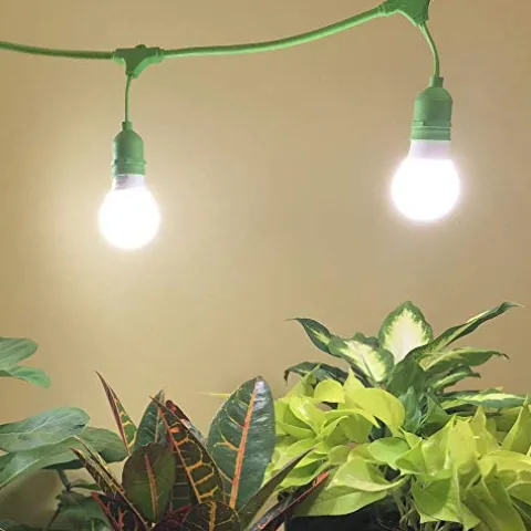 Miracle LED Smokephonics Indoor Grow Light Kit – Full Spectrum 150W Replacement Bulbs & 2-Socket Fixture with Timer (6-Pack)