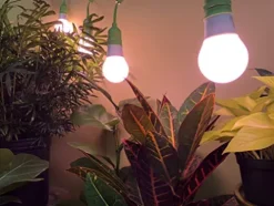 Miracle LED Under The Canopy Indoor Grow Light Kit 150W Replacement Red Spectrum