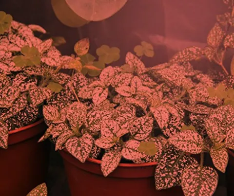 Miracle LED Under The Canopy Indoor Grow Light Kit 150W Replacement Red Spectrum