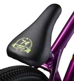 Mongoose Fireball Dirt Jump Mountain Bike 26-Inch Mechanical Disc Brakes Purple