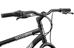 Mongoose Malus Fat Tire Mountain Bike 26-Inch Matte Black