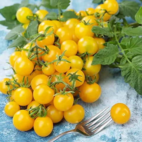 Mountain Valley Hybrid Seeds Lemon Drop Imp. F1 Hybrid Tomato Seeds 4 Oz Yellow