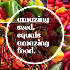 Mountain Valley Seed Company Golden Treasure Hot Pepper Seeds – Non-GMO, F1 Hybrid, 1 lb