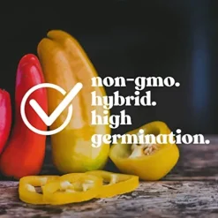 Mountain Valley Seed Company Golden Treasure Hot Pepper Seeds – Non-GMO, F1 Hybrid, 1 lb