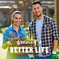 Mountain Valley Seed Company Golden Treasure Hot Pepper Seeds – Non-GMO, F1 Hybrid, 1 lb