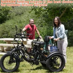 NARRAK Electric Tricycle 750W 48V Ebike Folding Fat Tire Step-through Blue