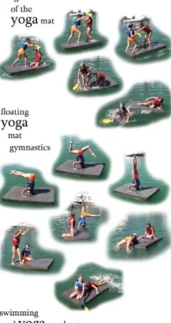 Natural Current Water Products NCSWFPS5WF Savior Island