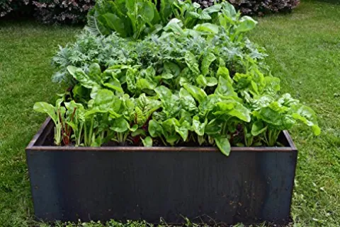 Nice Planter Nicer Corten Planter Bed 48″x48″x16″H Rust