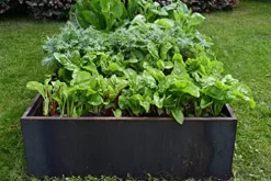 Nice Planter Nicer Corten Planter Bed 96″x48″x16″H Rust