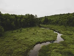 Old Town Canoes & Kayaks Topwater PDL Angler Fishing Kayak First Light