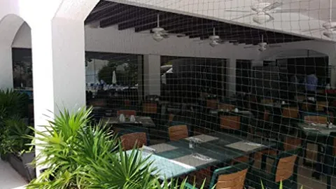 OldMacDonald Professional Grade Bird Netting 14ft x 4920ft Black