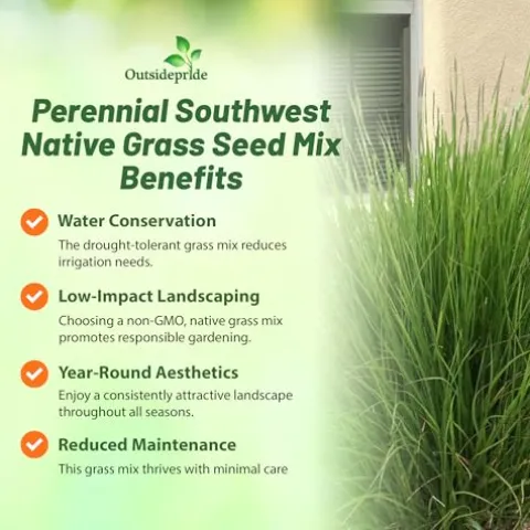 Outsidepride Southwest Native Grass Seed Mix 25 lbs Green