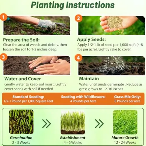 Outsidepride Southwest Native Grass Seed Mix 25 lbs Green