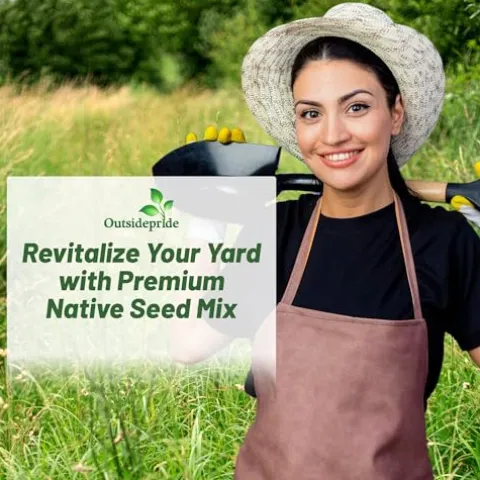 Outsidepride Southwest Native Grass Seed Mix 25 lbs Green