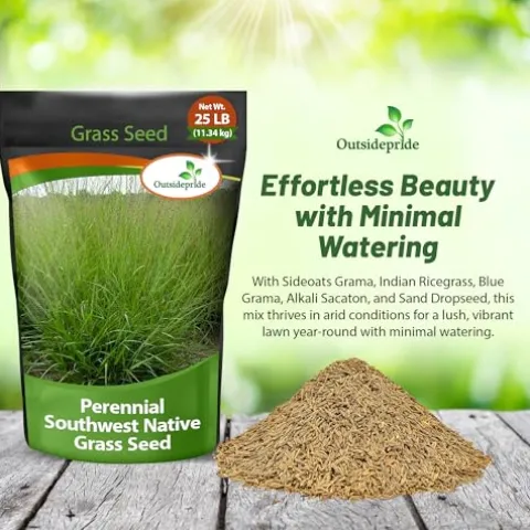 Outsidepride Southwest Native Grass Seed Mix 25 lbs Green
