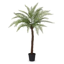 Park Hill Collection Giant Tree Fern in Growers Pot Green