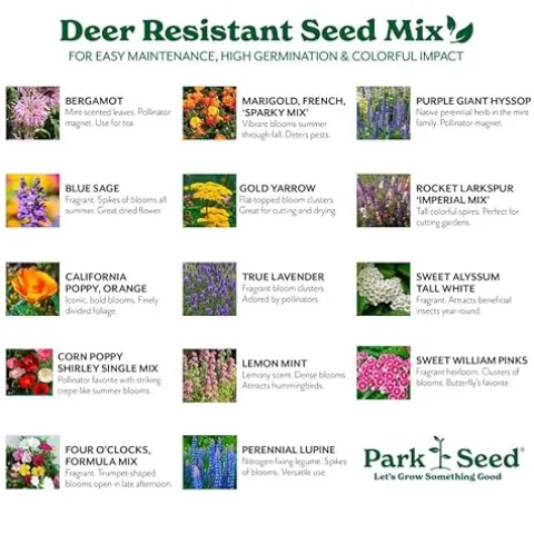 Park Seed Vibrant Annual and Perennial Wildflower Garden Seed Mixture 50 lbs Deer Resistant Mix