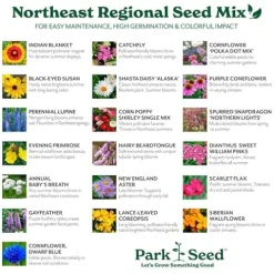 Park Seed Vibrant Annual and Perennial Wildflower Garden Seeds Northeast Regional Mix 25 lbs