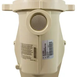 Pentair 011028 IntelliFlo VS Pool Pump Almond
