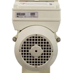 Pentair 011028 IntelliFlo VS Pool Pump Almond