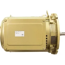 Pentair 357204S 7-1/2 HP Single Phase Motor Replacement Pump