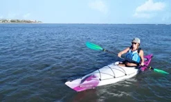 Perception Kayaks Expression 11.5 Sit Inside Kayak Dapper