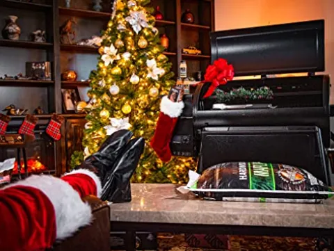 PIT BOSS PB1150G Wood Pellet Grill with Cover and Folding Front Shelf, 1150 sq. inch Black