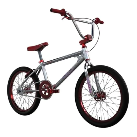Race Inc. RA20-R BMX Bike Retro 20