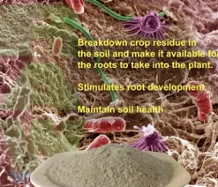 RAW Microbes Grow Plant Growth Enhancer 25lb