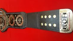 Ray’s ROH World Heavy Weight Wrestling Champion Replica Belt Adult Size Black