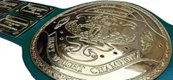 Ray’s Worldwide Heavy Weight Wrestling Champion Replica Belt Adult Size Green