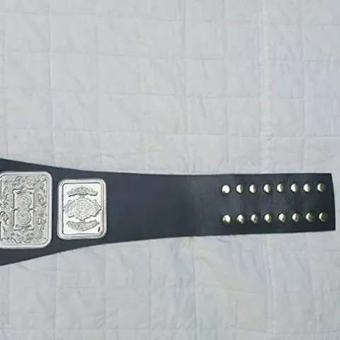 Ray’s Wrestling Champion Replica Belt Adult Size Black