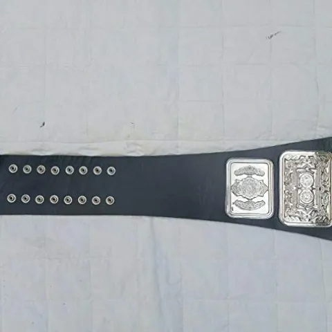 Ray’s Wrestling Champion Replica Belt Adult Size Black