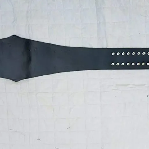 Ray’s Wrestling Champion Replica Belt Adult Size Black