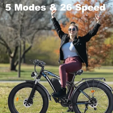 Ronson Electric Bicycle for Adults Dual Motor 1000W/2000W 48V/23AH Black-2000W (New upgraded style)
