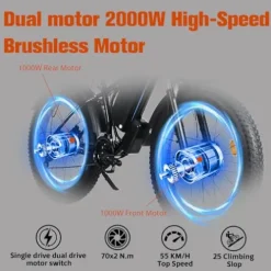 Ronson Electric Bicycle for Adults Dual Motor 1000W/2000W 48V/23AH Black-2000W (New upgraded style)