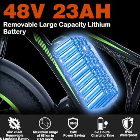 Ronson Electric Bicycle for Adults Dual Motor 1000W/2000W 48V/23AH Black-2000W (New upgraded style)