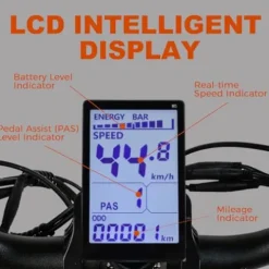 Ronson Electric Bicycle for Adults Dual Motor 1000W/2000W 48V/23AH Black-2000W (New upgraded style)