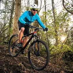 ROYCE UNION RCF Lightweight Carbon Mountain Bike Matte Black