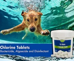 Rx Clear 1-Inch Stabilized Chlorine Tablets for Pools & Spas UV Protected 1200 Lbs