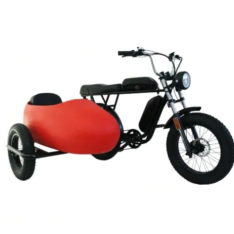 RZZLGY Electric Motorcycle with Sidecar, Snow Tires, 60km Range, Red