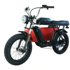 RZZLGY Electric Motorcycle with Sidecar, Snow Tires, 60km Range, Red