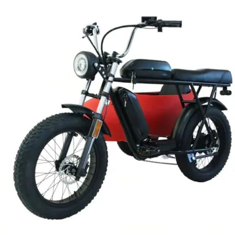 RZZLGY Electric Motorcycle with Sidecar, Snow Tires, 60km Range, Red