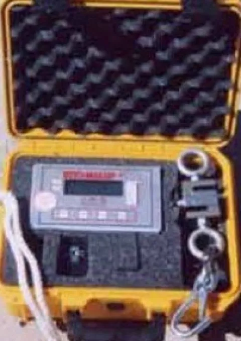 SaltH2o Scalemaster II Digital Scale 2000lbs