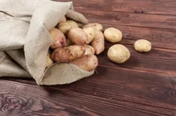 Sandbaggy Large Burlap Bags 18″ x 30″ for Planting/Gardening (Pack of 500)