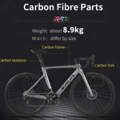 SAVADECK Carbon Road Bike Grey