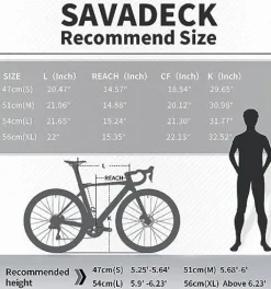 SAVADECK Carbon Road Bike Grey