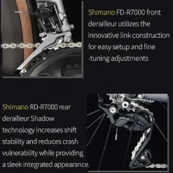 SAVADECK Carbon Road Bike Green