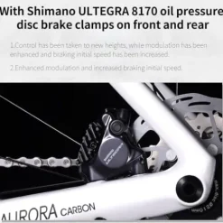 SAVADECK Carbon Siber Road Bike 24-Speed Shimano Ultegra Di2 8170 Black 54cm