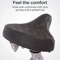 Schwinn Adult Beach Cruiser Bike Purple